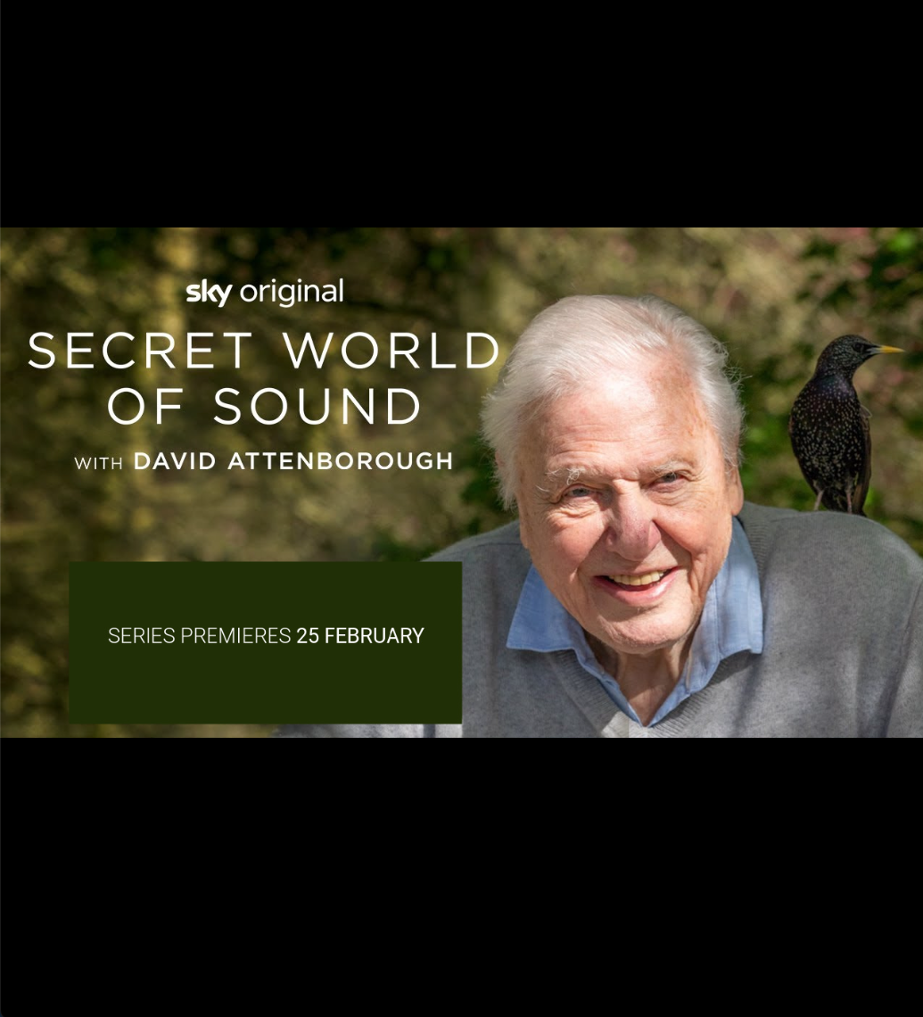 'Secret World of Sound w/David Attenborough on SkyTV, CBC & Netflix' core news picture