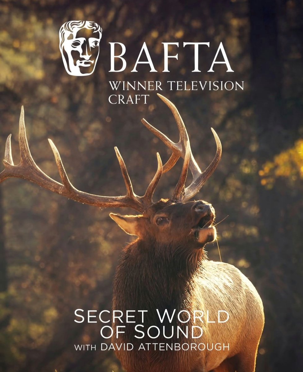 'SECRET WORLD OF SOUND Wins a 2025 BAFTA!' core news picture